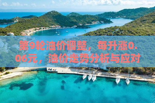 第9轮油价调整，每升涨0.06元，油价走势分析与应对策略