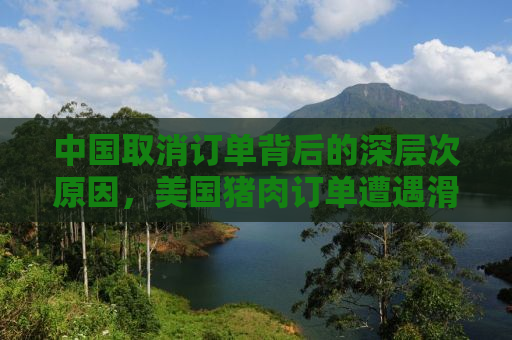 中国取消订单背后的深层次原因，美国猪肉订单遭遇滑铁卢事件分析