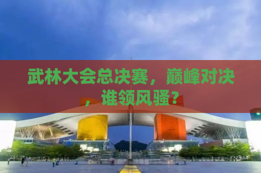 武林大会总决赛，巅峰对决，谁领风骚？
