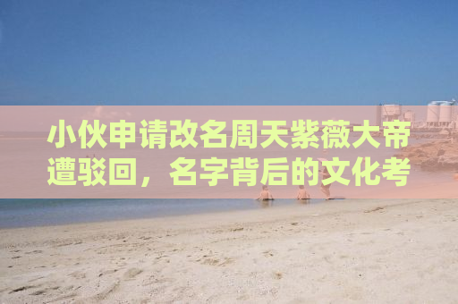 小伙申请改名周天紫薇大帝遭驳回，名字背后的文化考量与社会审视