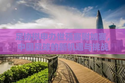 足协拟申办世预赛附加赛，中国足球的新机遇与挑战
