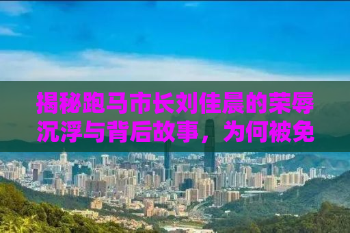 揭秘跑马市长刘佳晨的荣辱沉浮与背后故事，为何被免职？