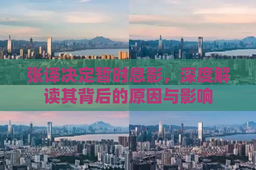 张译决定暂时息影，深度解读其背后的原因与影响