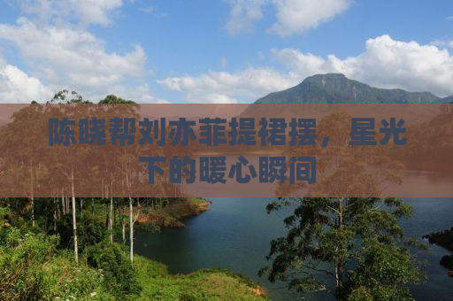 陈晓帮刘亦菲提裙摆，星光下的暖心瞬间