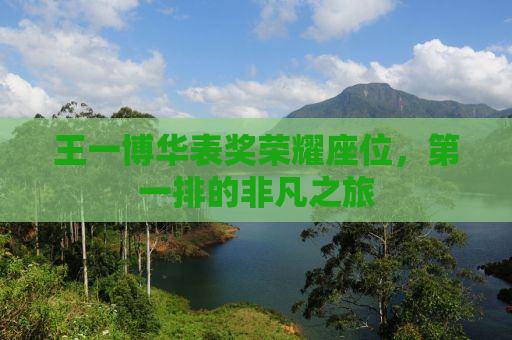 王一博华表奖荣耀座位，第一排的非凡之旅