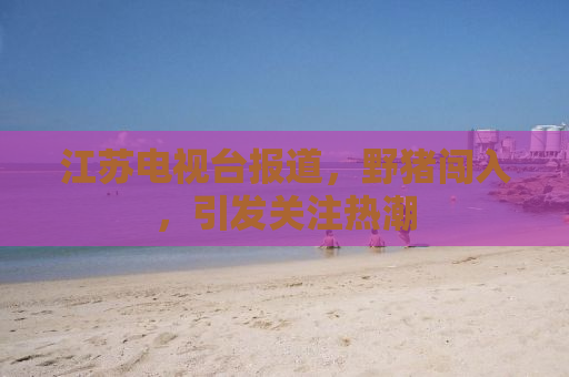 江苏电视台报道，野猪闯入，引发关注热潮