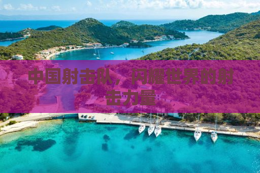中国射击队，闪耀世界的射击力量