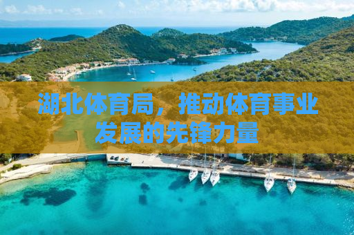湖北体育局，推动体育事业发展的先锋力量