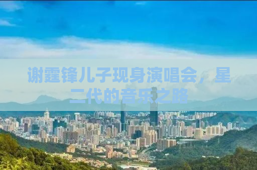 谢霆锋儿子现身演唱会，星二代的音乐之路