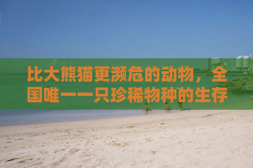 比大熊猫更濒危的动物，全国唯一一只珍稀物种的生存挑战