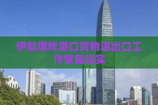 伊朗爆炸港口货物进出口工作恢复纪实