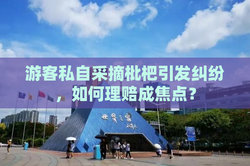 游客私自采摘枇杷引发纠纷，如何理赔成焦点？