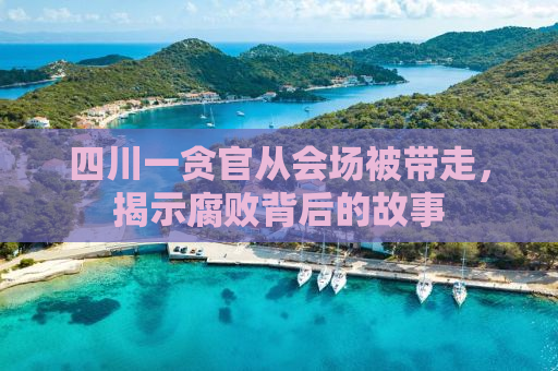 四川一贪官从会场被带走，揭示腐败背后的故事