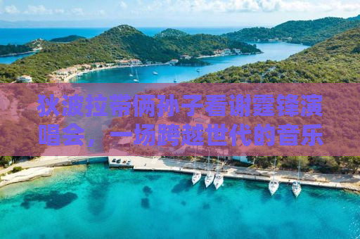 狄波拉带俩孙子看谢霆锋演唱会，一场跨越世代的音乐盛宴