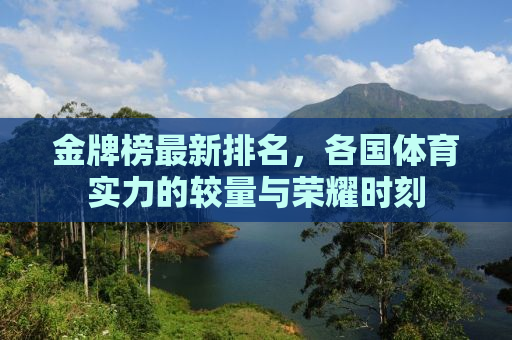 金牌榜最新排名，各国体育实力的较量与荣耀时刻