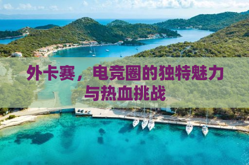 外卡赛，电竞圈的独特魅力与热血挑战