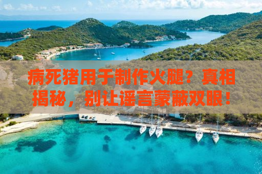 病死猪用于制作火腿？真相揭秘，别让谣言蒙蔽双眼！