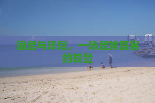 国足与印尼，一场足球盛宴的较量