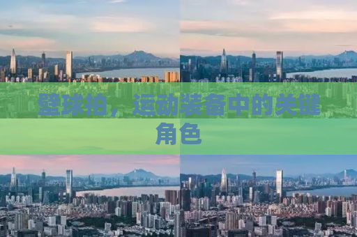 壁球拍，运动装备中的关键角色