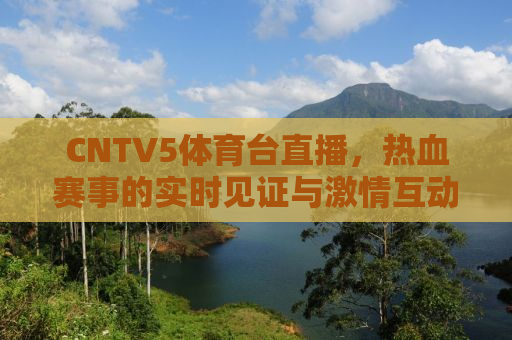 CNTV5体育台直播，热血赛事的实时见证与激情互动的舞台