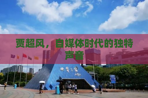 贾超风，自媒体时代的独特声音