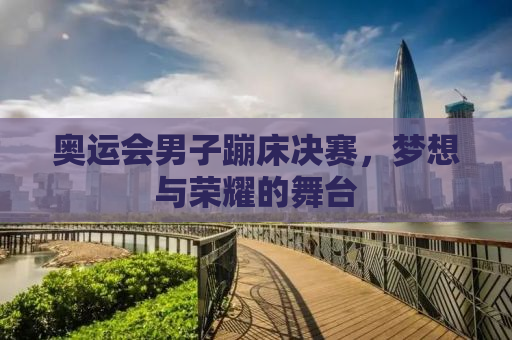 奥运会男子蹦床决赛，梦想与荣耀的舞台