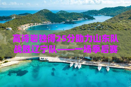高诗岩独得25分助力山东队战胜辽宁队——一场季后赛的热血对决