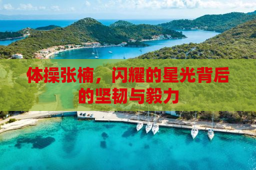 体操张楠，闪耀的星光背后的坚韧与毅力