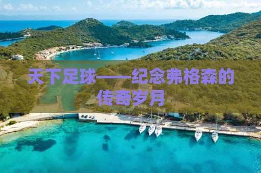 天下足球——纪念弗格森的传奇岁月
