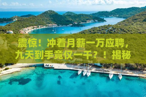 震惊！冲着月薪一万应聘，九天到手竟仅一千？！揭秘背后的真相