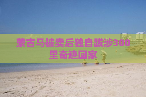 蒙古马被卖后独自跋涉300里奇迹回家
