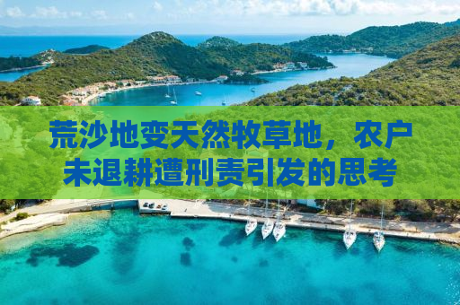 荒沙地变天然牧草地，农户未退耕遭刑责引发的思考