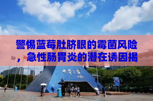警惕蓝莓肚脐眼的霉菌风险，急性肠胃炎的潜在诱因揭秘