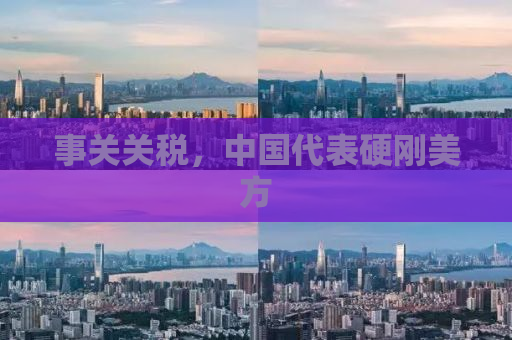事关关税，中国代表硬刚美方