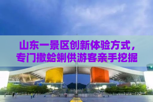 山东一景区创新体验方式，专门撒蛤蜊供游客亲手挖掘