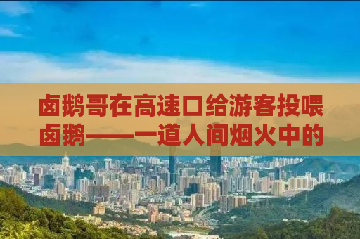 详细阅读:卤鹅哥在高速口给游客投喂卤鹅——一道人间烟火中的美味邂逅 卤鹅哥在高速口给游客投喂卤鹅——一道人间烟火中的美味邂逅