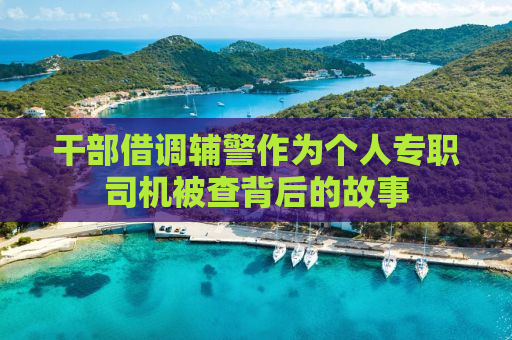 干部借调辅警作为个人专职司机被查背后的故事
