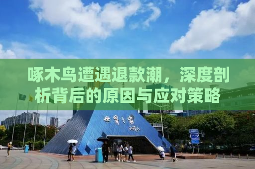 啄木鸟遭遇退款潮，深度剖析背后的原因与应对策略