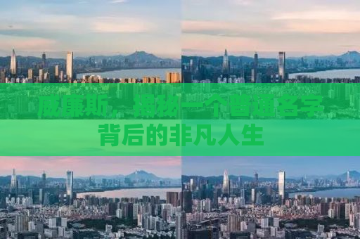 威廉斯，揭秘一个普通名字背后的非凡人生