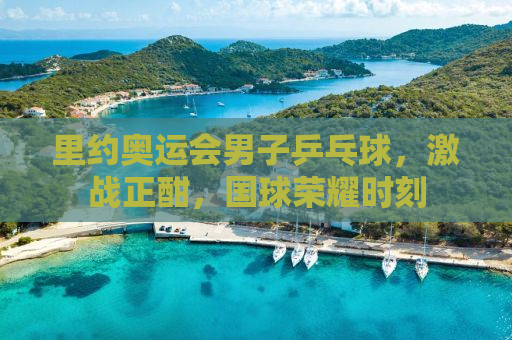 里约奥运会男子乒乓球，激战正酣，国球荣耀时刻