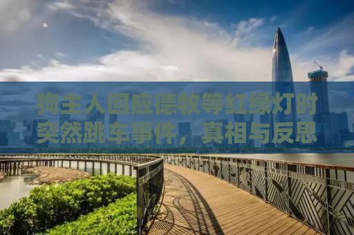狗主人回应德牧等红绿灯时突然跳车事件，真相与反思