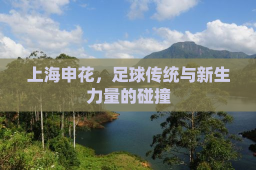 上海申花，足球传统与新生力量的碰撞