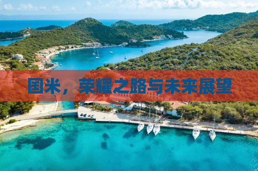 国米，荣耀之路与未来展望