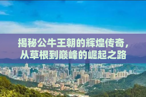 揭秘公牛王朝的辉煌传奇，从草根到巅峰的崛起之路