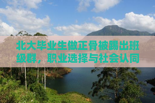 北大毕业生做正骨被踢出班级群，职业选择与社会认同的冲突