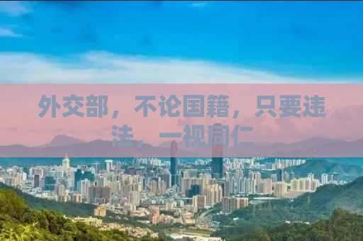 外交部，不论国籍，只要违法，一视同仁