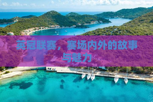 英冠联赛，赛场内外的故事与魅力