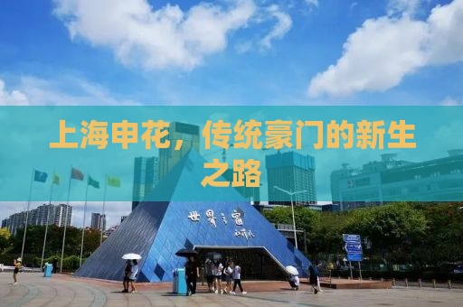 上海申花，传统豪门的新生之路
