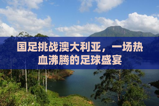 国足挑战澳大利亚，一场热血沸腾的足球盛宴