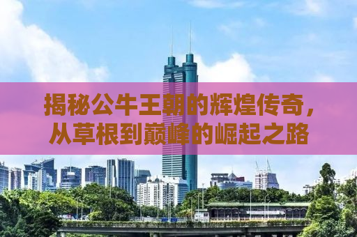 揭秘公牛王朝的辉煌传奇，从草根到巅峰的崛起之路